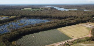 An aerial view of the potential Coochin Fields music festival site.