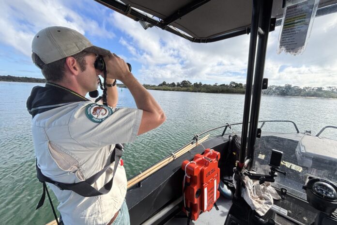 A ranger looking through binoculars from a boat.