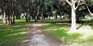 A track cuts through part of Jensen Park. A proper path will be built there.