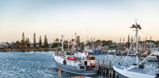 Mooloolaba Harbour. Picture: Shutterstock.