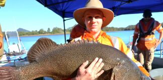 A huge Mary River Cod was caught in Lake Macdonald and released into the Mary River.