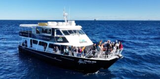 A Sunreef vessel off the Sunshine Coast.