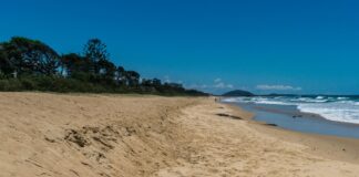 Maroochydore Beach. Picture: Shutterstock.