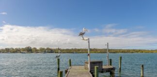 The jetty on the banks of the Noosa River.
