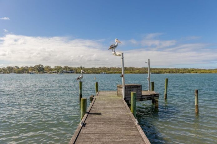The jetty on the banks of the Noosa River.