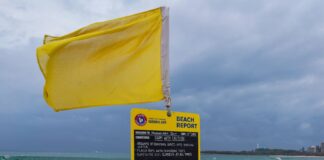 A yellow flag and a sign with surf condition information at Mooloolaba. Picture: Shutterstock.