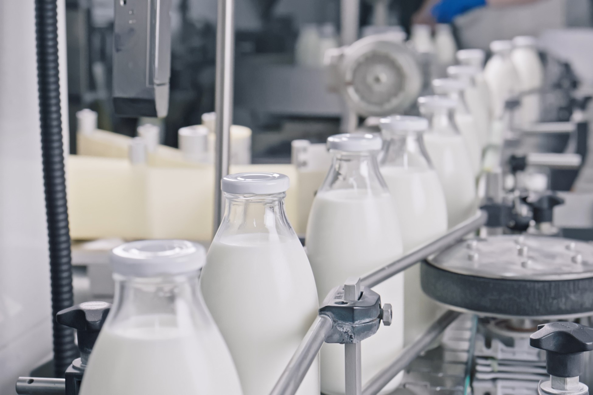 Milk is bottled at a processing facility. Picture: Shutterstock.