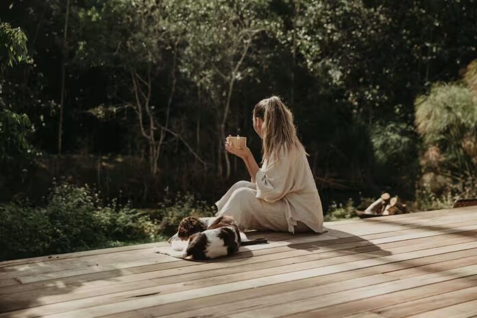 A Hunchy Airbnb is among Australia's most wishlisted stays.