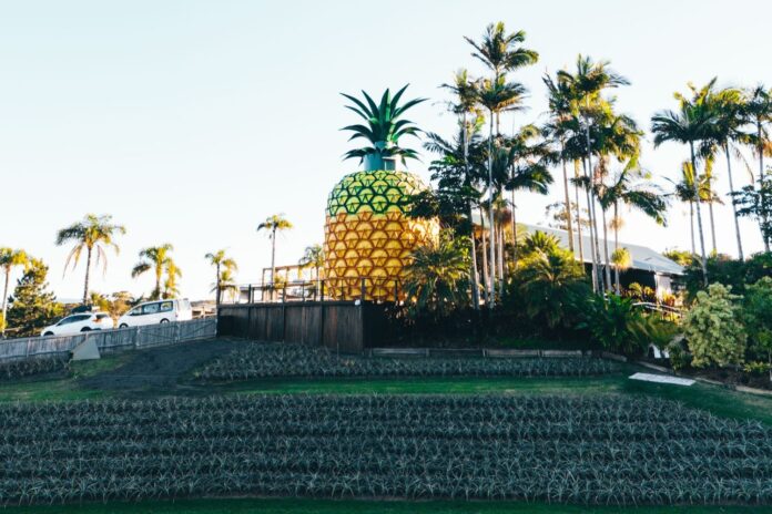 The Big Pineapple.