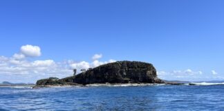 Mudjimba Island is less than 1km off the Sunshine Coast.