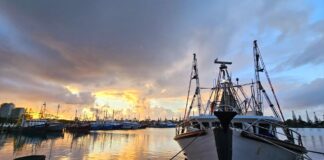 Photo of the day: photographer Helen Browne Mooloolaba Marina