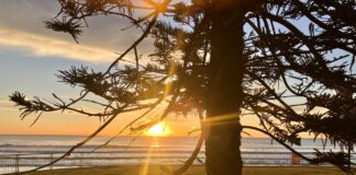 Photo of the day photographer Margaret Conwell captures the rising sun at Alex Beach