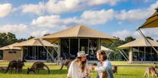 Habitat Noosa accommodation options, The Kangarooms.
