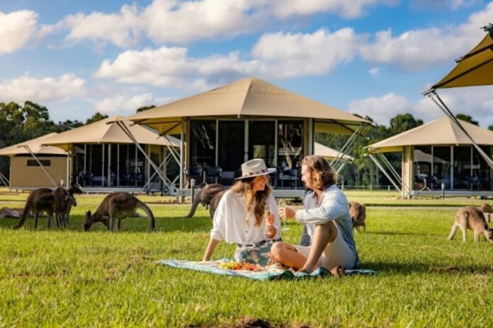 Habitat Noosa accommodation options, The Kangarooms.