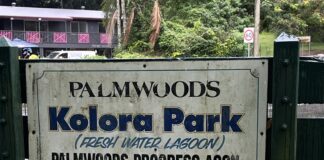 An ageing entrance sign at Kolora Park in Palmwoods.