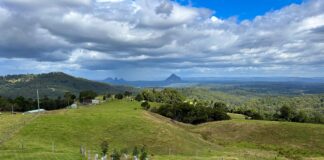 More than 2600 native plants have been planted across the park. Picture: Supplied