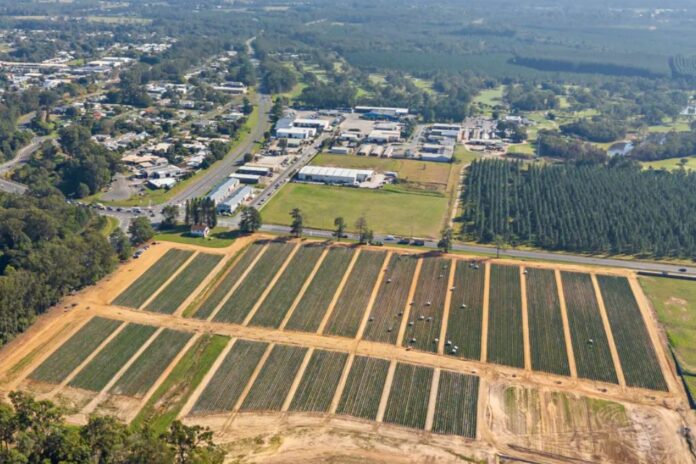 The potential site of the new Beerwah Co-op at 8 Roys Road, Beerwah. Picture: Knight Frank.