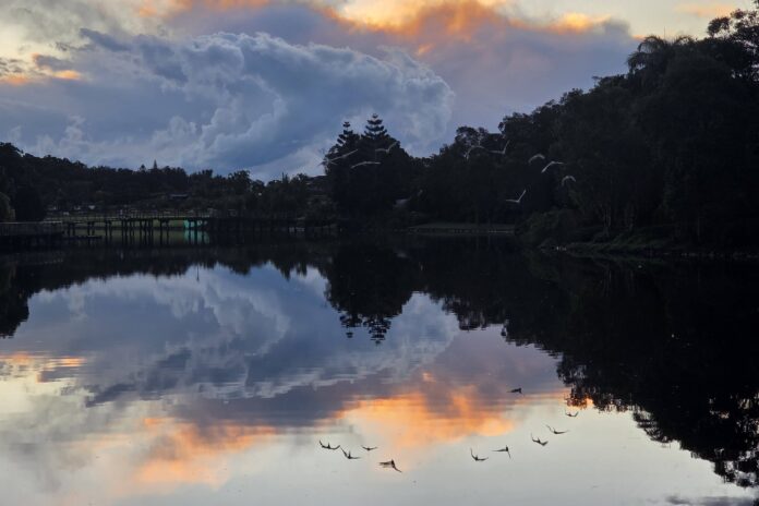 Photo of the day by Nick Collions of a flock of birds flying over the water at Sunshine Cove.