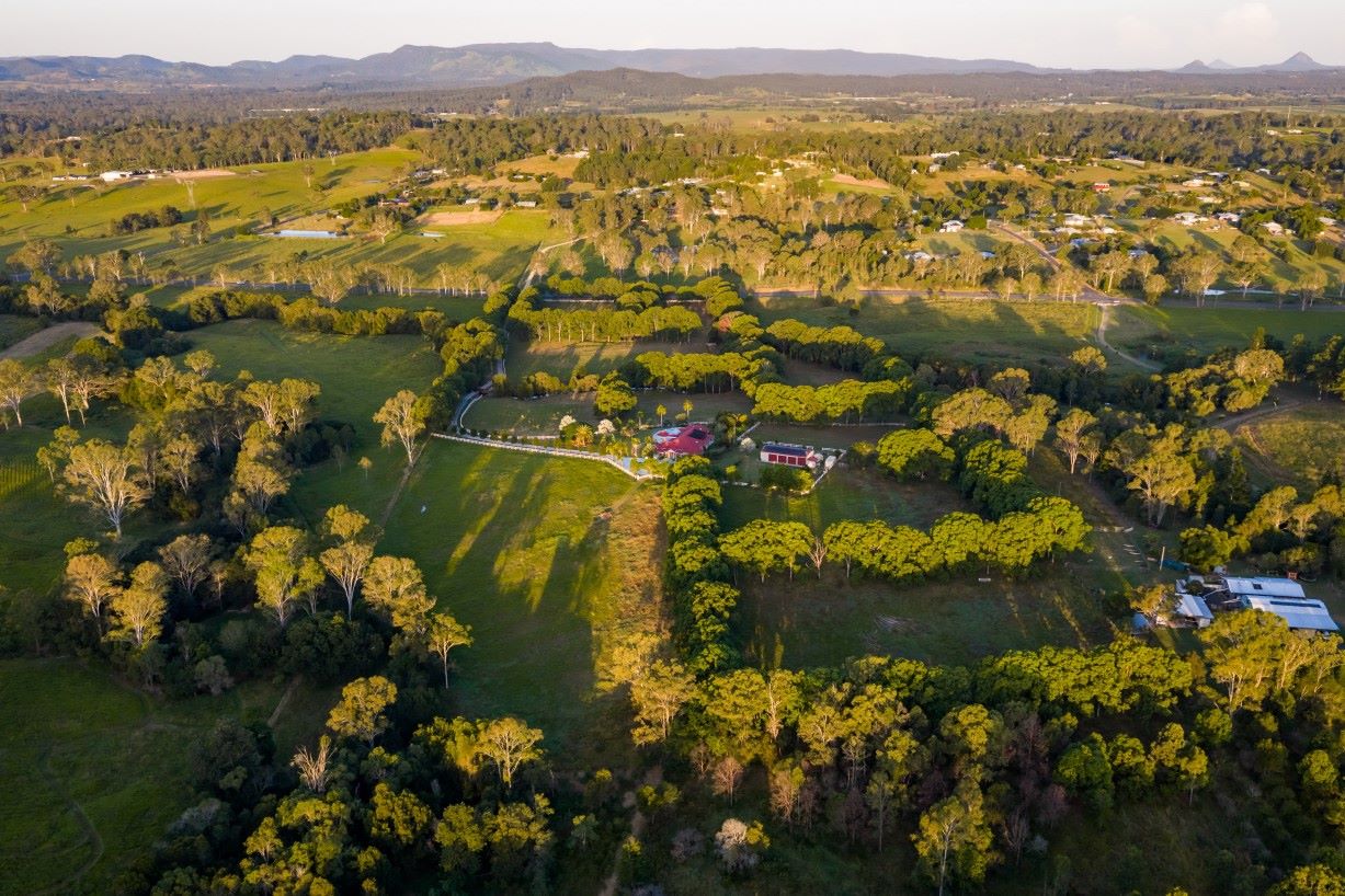 A bird's eye perspective of Calico Lodge.