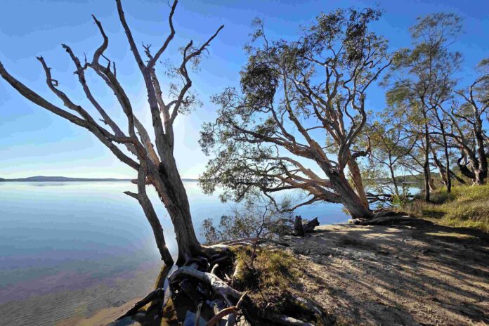 Photographer Nick Collins' photo of the day Lake Weyba