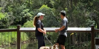 A couple at an environment reserve with their dog on a leash.