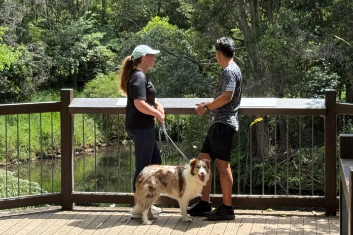 A couple at an environment reserve with their dog on a leash.