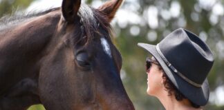 A woman connects with a horse during a session at Hoofbeats Sanctuary. Picture: Supplied