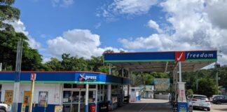 Freedom Fuels said it had not been able to accurately quantify the volume of fuel released because the loss was below the threshold. Picture: Google Street View.