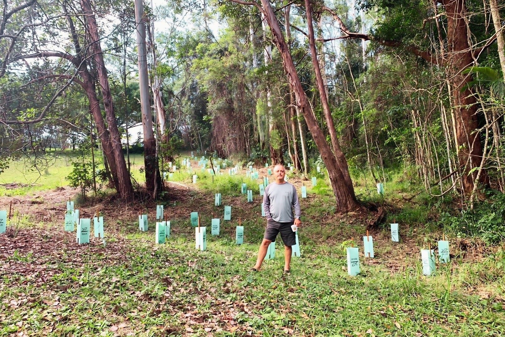 Hein Van Dam standing among new tree plantings at his Palmwoods property.