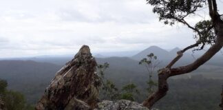 View from Mt Tibrogargan by photographer Laurel Selby