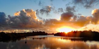 Golden sunrise at Diddillibah by photographer Sandy Gillis