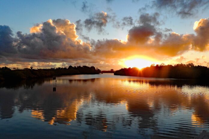 Golden sunrise at Diddillibah by photographer Sandy Gillis
