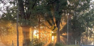 Open road at Kiels Mountain by photographer Sharon Bell