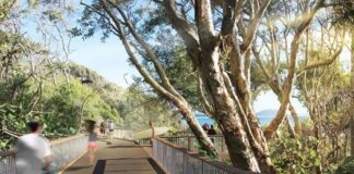 An impression of the boardwalk for Alexandra Headland.