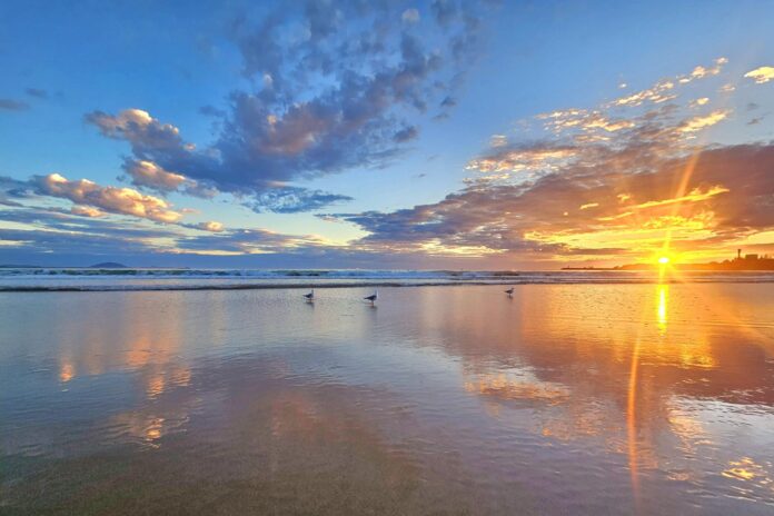 Photo of the day seagulls at dawn by Helen Browne Mooloolaba Beach