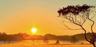 Photo of the day Peter Correya Sunrise at Palmview