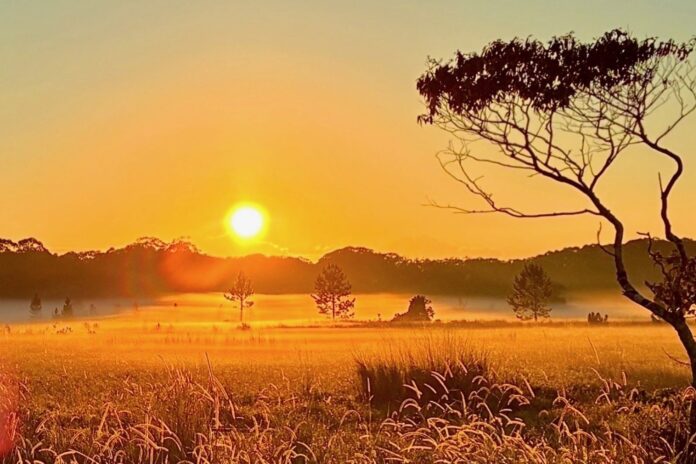 Photo of the day Peter Correya Sunrise at Palmview
