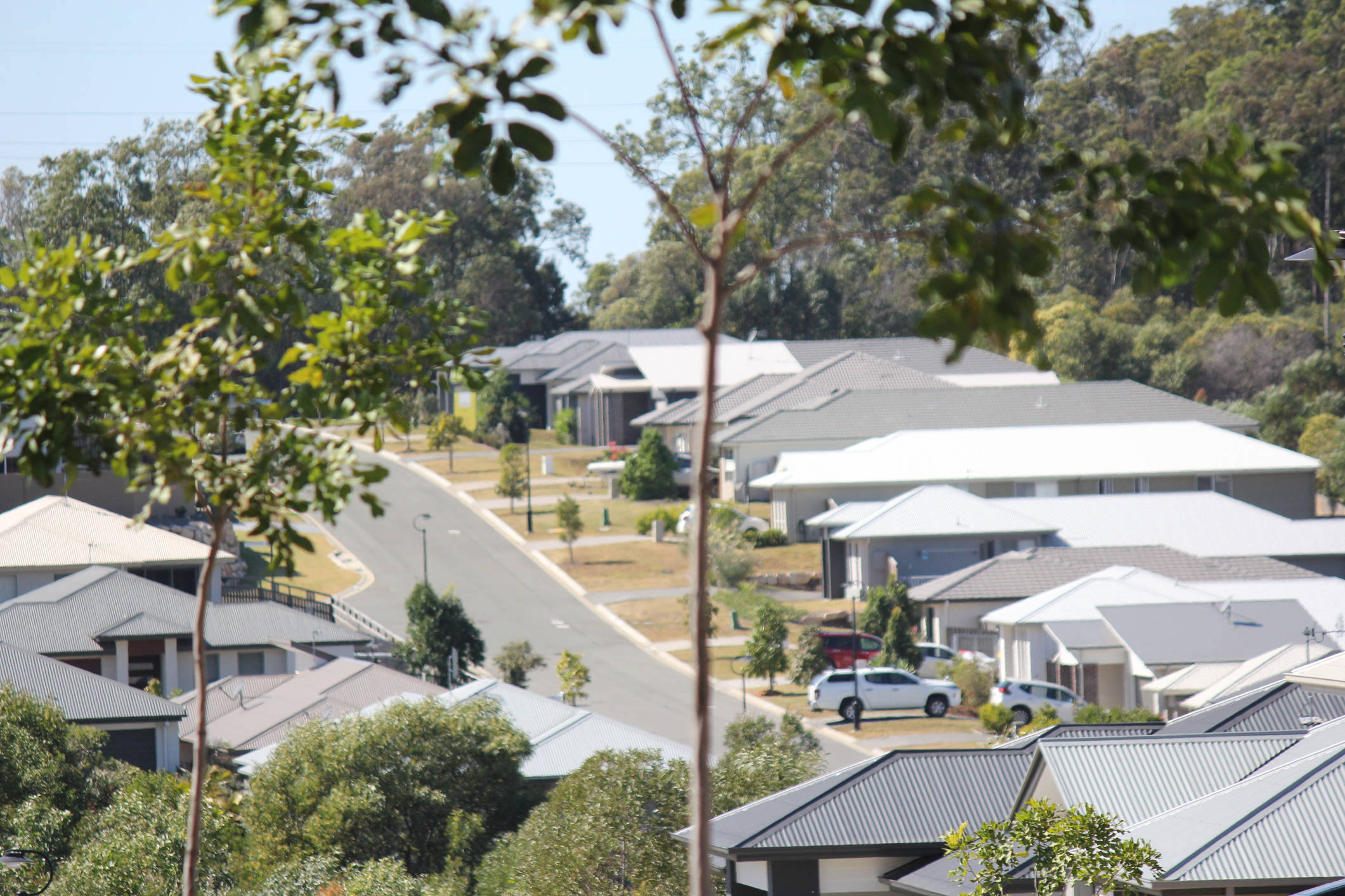 Houses in a street.