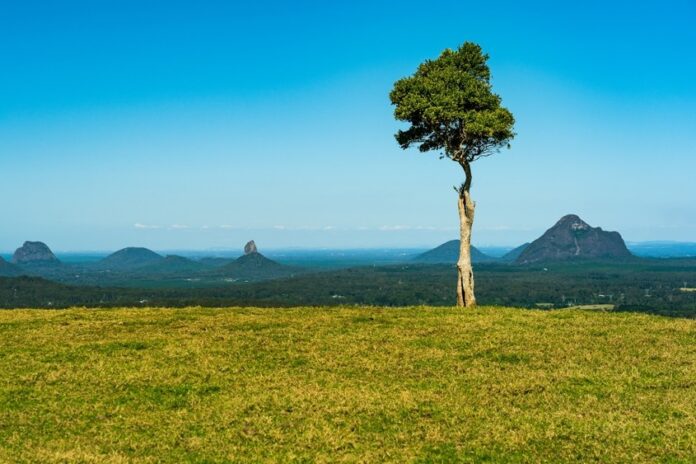 One Tree Hill Maleny
