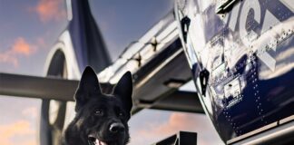 Police Dog Jackal next to a police helicopter.