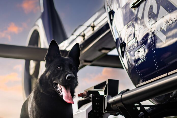 Police Dog Jackal next to a police helicopter.