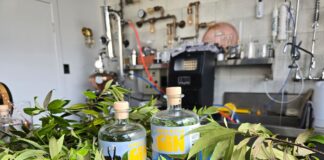 The multi-award winning Lemon Myrtle Gin from The Law Artisan Distillery surrounded by the botanicals used to infuse the gin.