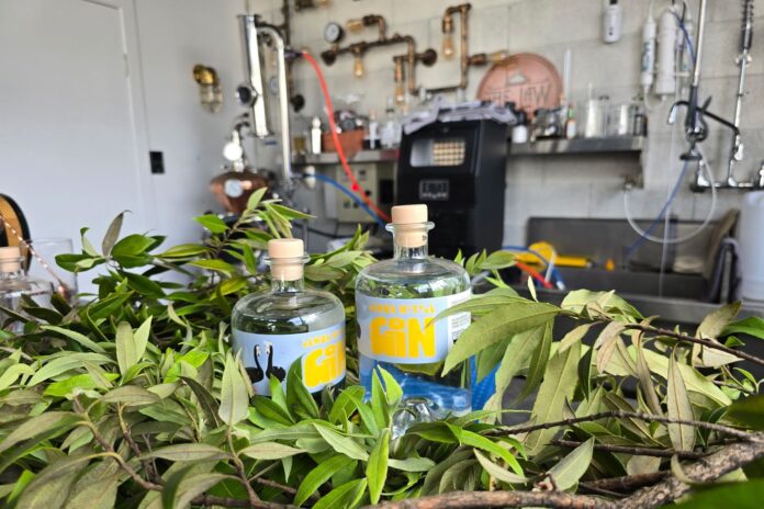 The multi-award winning Lemon Myrtle Gin from The Law Artisan Distillery surrounded by the botanicals used to infuse the gin.