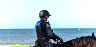 A police officer on horseback by the beach.