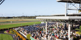 Racegoers packed into Corbould Park.
