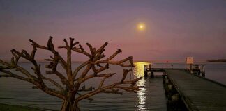 Photographer Dave Moore Military Jetty