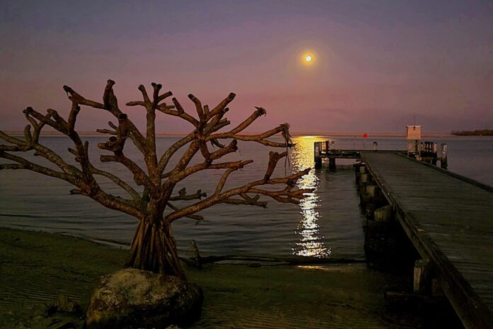 Photographer Dave Moore Military Jetty