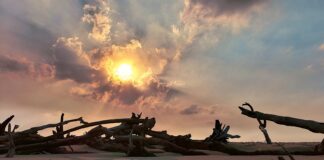 Photographer Gary Liney Bribie Island