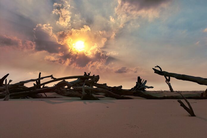 Photographer Gary Liney Bribie Island