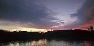 Photographer Helen Browne Mooloolah River at dawn